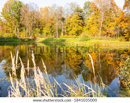 colorful foliage on trees on the Bank of the pond. autumn photo of nature with falling leaves. autumn park.