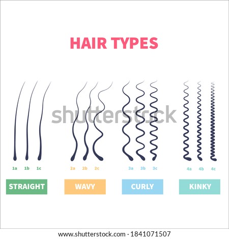 Straight, wavy, curly, kinky hair types classification system set. Detailed human hair growth style chart. Health care and beauty concept. Vector illustration. Royalty-Free Stock Photo #1841071507