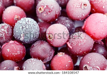 Close up of frozen cranberries