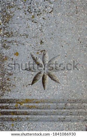 Grey stone slab with paralleled lines and the image of a flower. Engraving on a stone covered with moss and lichen. Without anybody.