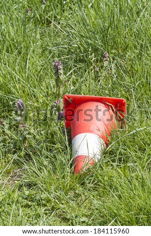 road cone in the meadow