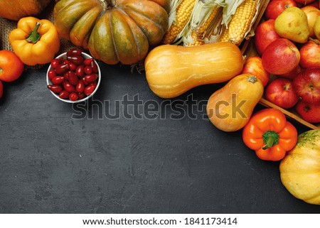Top view of vegetable composition with pumpkins and apples on black background
