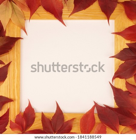 Yellow wooden square frame for picture with red leaves blank empty space