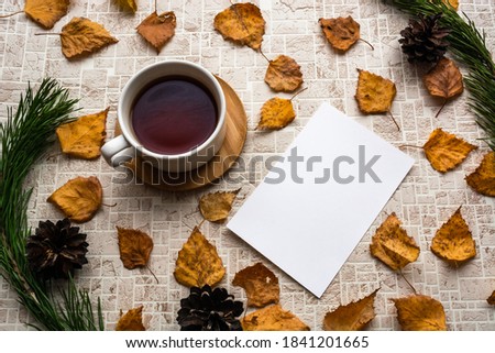 Blank photo card and cup of tea in natural frame of green pine branches and cones on pastel shades background with fall leaves. Memories of past concept. Copy space. Top view