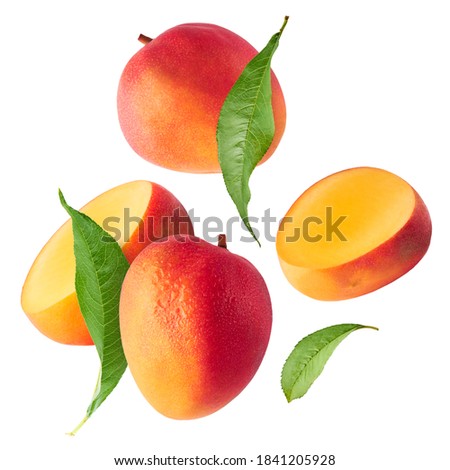 Fresh ripe mango with leaves falling in the air isolated on white background. Food levitation concept. High resolution image