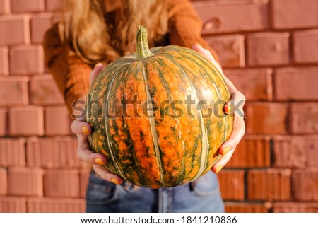 Bright ripe pumpkin in young women's hands. Concept autumn comfort, harvest, Halloween party, Thanksgiving day.