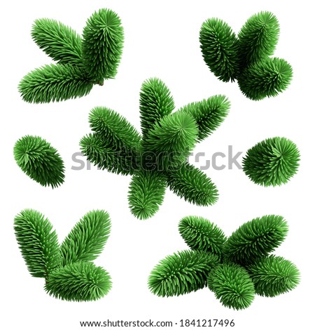 3d rendering, spruce twigs set, Christmas tree elements, coniferous clip art collection, isolated on white background