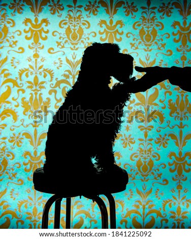 dog and his person's hand showing the strong bond and connection. Subject in silhouette on blue, green and gold backdrop. mini schnauzer dog. 