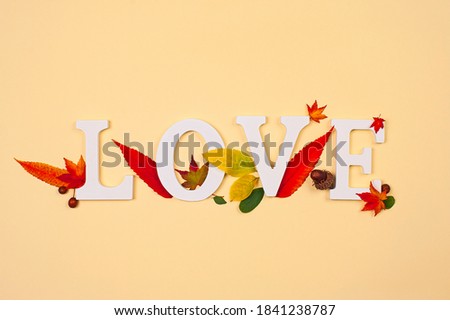 Word Love with colorful leaf on the pastel background. Creative autumn composition.