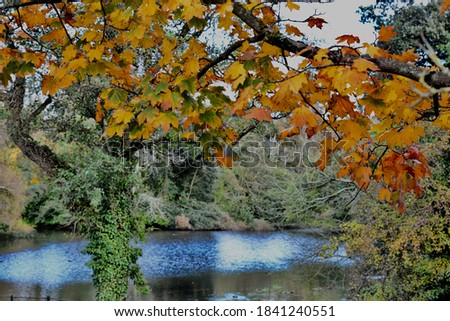 A beautiful sunny Autumn day at Roath Park Lake, Cardiff, Wales. The leaves have started changing colour and are reflected in the still cold water. 