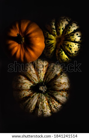 pumpkins - dark food photography