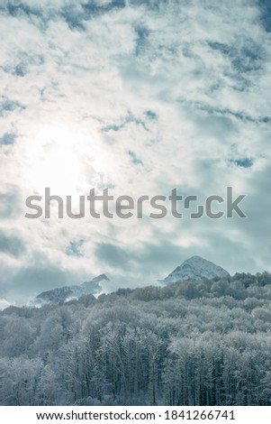 View of the snow-covered mountains. Krasnaya Polyana, Sochi, Russia Ski resort