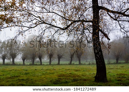 Autumn landscape in Podlasie, Poland
