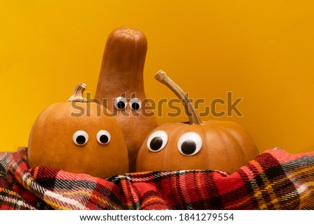 Pumpkin with googly eyes in warm scarf, warm autumn concept.