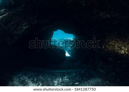 Underwater scene with tunnel cave in ocean. Dive site for divers and freedivers