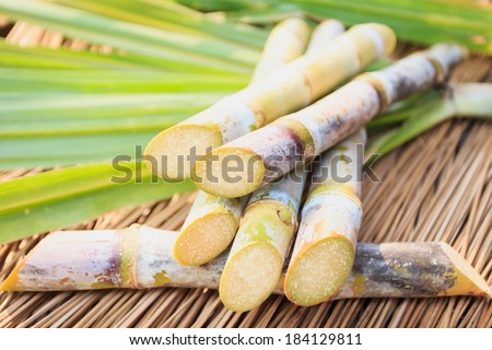 Close up Sugarcane Royalty-Free Stock Photo #184129811