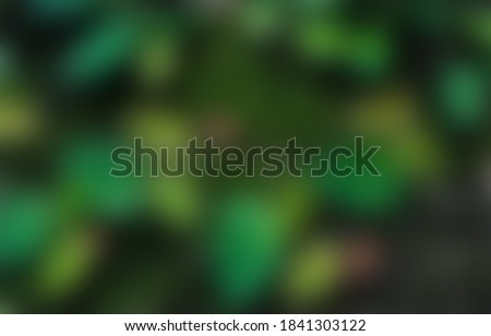 Blurred green abstract background, Abstract Blurry green nature background
