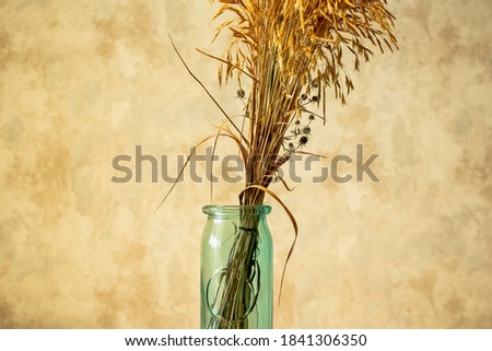 Minimalistic isolated composition of dried flowers in a turquoise glass bottle as retro home decoration. Still life of a bouquet of dried flowers in a transparent vase on brown vintage background