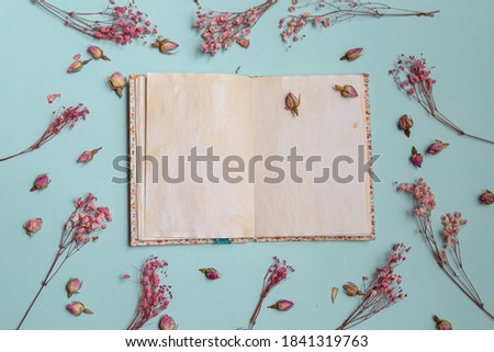  pink flowers flat lay with old notepad. Women's Day. View from above, Spring minimal concept.