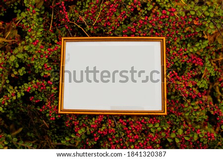An empty picture frame on a background of autumn leaves. Copy space