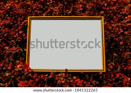Blank picture frame on a background of red leaves