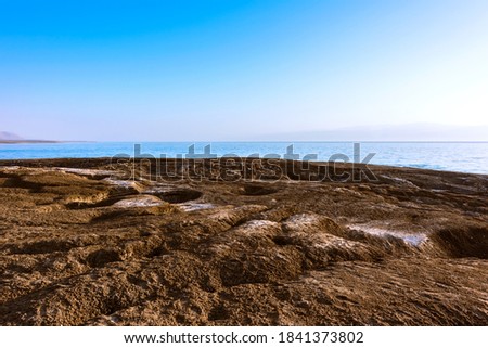 Cracked earth filled with salt water on the shores of the Dead Sea, near Ein Gedi. Israel. 