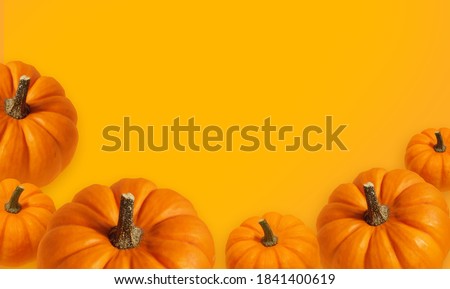 Pumpkin modern banner background with orange natural color. Vegetable pumpkin poster or wallpaper. Pumpkin cooking master class. Thanksgiving day template. Autumn recipe picture. Vegan life. Flatlay 