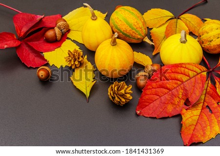 Autumn background with decorative pumpkins, fall leaves, acorns and fir cones. Festive wallpaper, card or border. Black stone concrete background, copy space