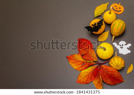 Traditional symbols of Halloween - ripe pumpkins, bat and ghost. Fall colorful leaves, festive good mood. Autumn black stone concrete background, top view
