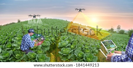 Panorama agriculture drone fly to sprayed fertilizer on Cabbage field. smart farmer use drone for various fields like research analysis, terrain scanning technology, smart technology concept.  Royalty-Free Stock Photo #1841449213