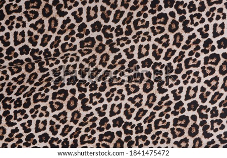 bright leopard fur as a texture background

