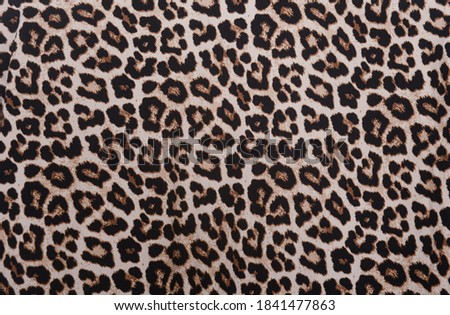 bright leopard fur as a texture background


