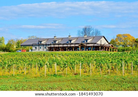 Vineyard and winery building with beautiful porch, located on  the eastern shore of Cayuga Lake, one of the longest lake in Finger Lakes, New York  Royalty-Free Stock Photo #1841493070