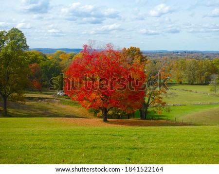 Beautiful view of a Sugar Maple tree (Acer Saccharum) with bright red and orange foliage and a scenic background at a farm in New York. Royalty-Free Stock Photo #1841522164
