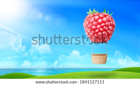 Raspberry fruit shaped hot air balloon, Hot air balloon floating over a green hill Elements of nature and sky background, Tourism and travel concept