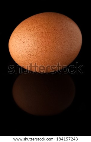 Brown egg isolated over black background