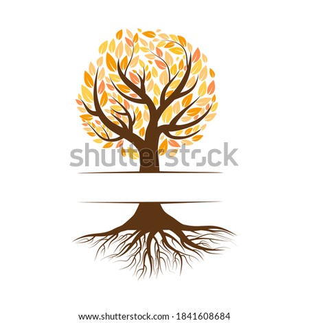 Tree with roots and colorful leaves isolated on white background.