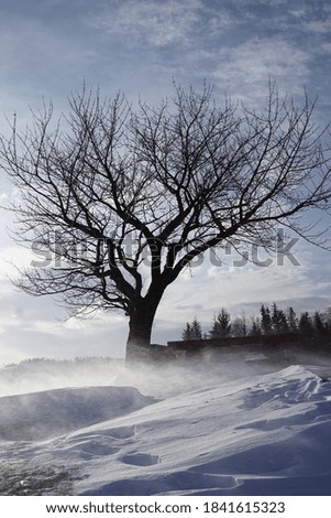 Wonderful winter landscape. Magnificent highlands on a sunny day. Feast of Christmas. Winter mountain forest. Snowy mountains and beautiful blue sky. Amazing nature background. 