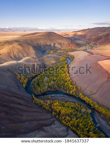 Red Hills of Clay, Mountains, Larches and Meanders of River in Autumn. Aerial View. Kokorya. The Altai Mountains, Russia.