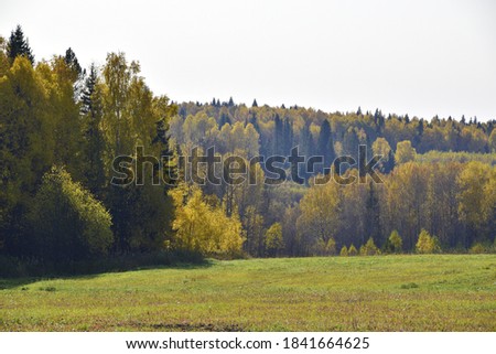 A cultivated agricultural field enclosed by a wall of bright autumn forest, illuminated by the midday sun. In the foothills of the Western Urals, golden autumn.