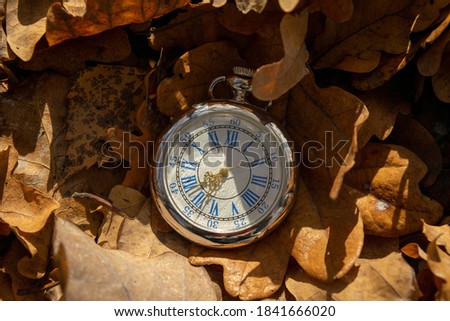 Vintage pocket watch in yellow autumn leaves, Close-up.