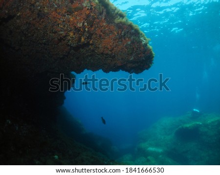 Scuba Diving Malta Gozo and Comino