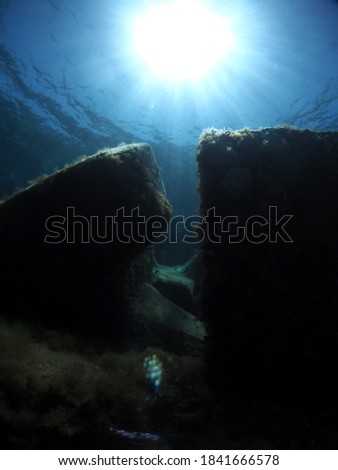 Scuba Diving Malta Gozo and Comino