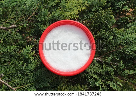 epsom salt on branches of a conifer Royalty-Free Stock Photo #1841737243
