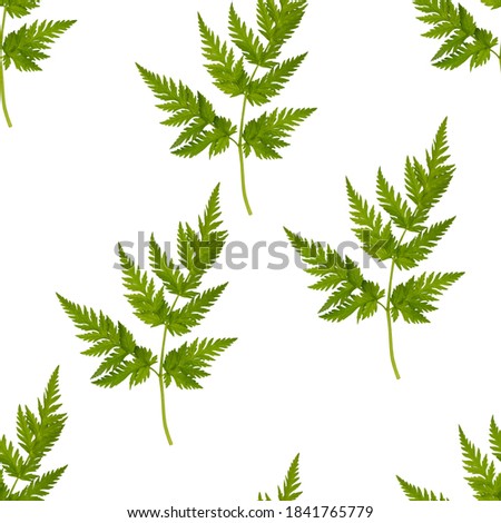 Seamless  green  leaves of herbaceous plants background