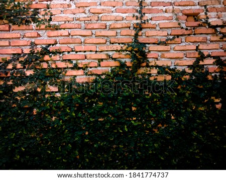 green leaf and brick wall background 