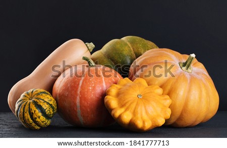 Pumpkin, butternut squash, green pumpkin, decorative pumpkin, pattypan squash on a dark background.