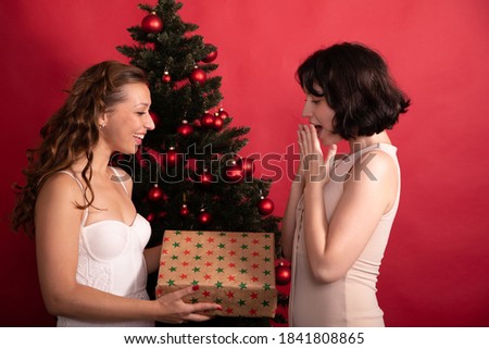 Two beautiful female friends celebrate Christmas together, young lesbian women or sisters presenting xmas gifts on New Year party. Family holiday, surprise, merry christmas concept. Red background