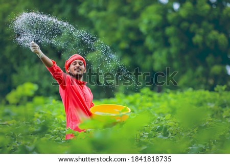 Indian farmer spreading fertilizer in the green cotton field Royalty-Free Stock Photo #1841818735