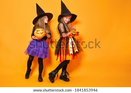 Two little witches in halloween costumes on orange background